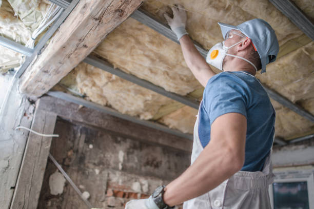 Professional Insulation Contractor in Urania, LA
